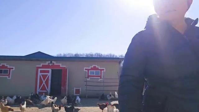 ЖИЗНЬ В АМЕРИКЕ ЗА ГОРОДОМ В СЕЛЕ