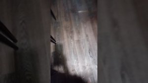 VID_20260422_192009.mp4