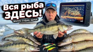 Рыбалка 2026. Ловля Судака и Щуки на Балансир, Силикон, Виб.