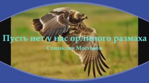 Пусть нет у нас орлиного размаха