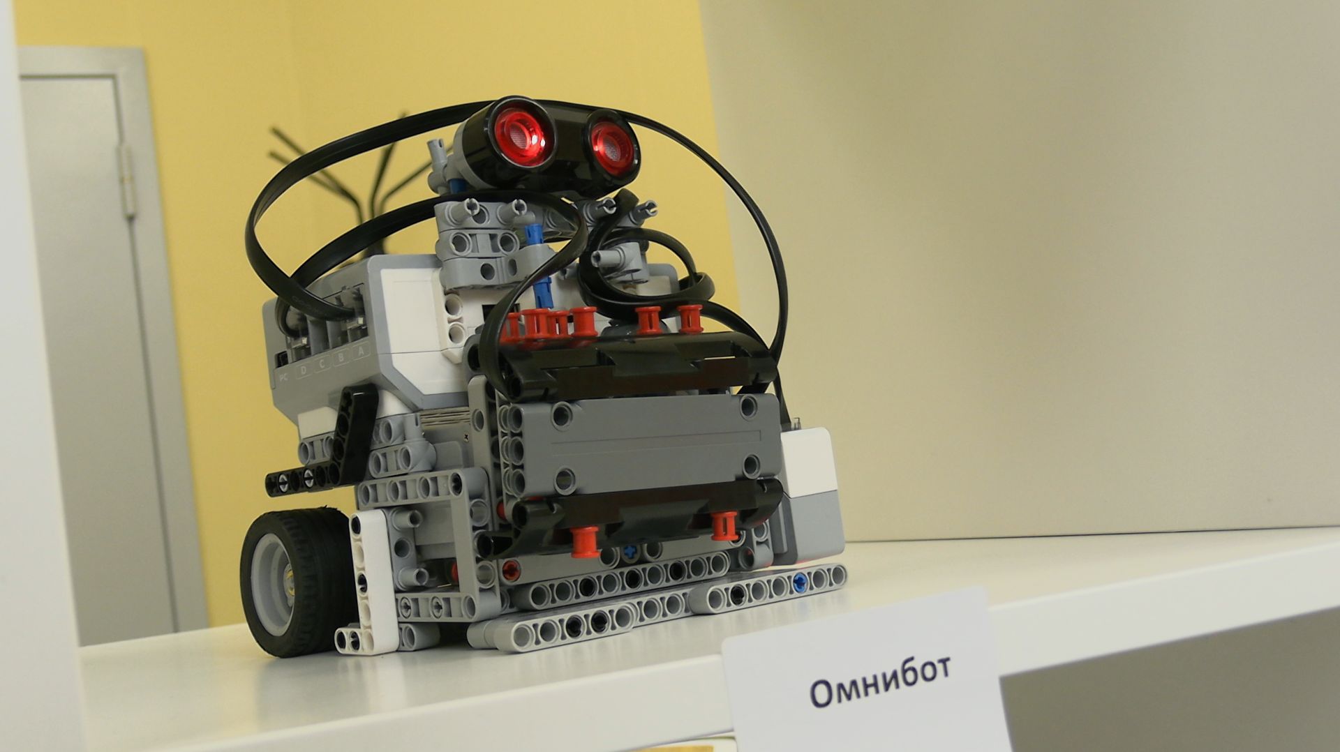 ЖИВАЯ «СТАЛЬ»