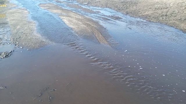 Ох, нелегкая это работа — из болота тащить бегемота! Особенно когда ему самому шевелиться неохота.