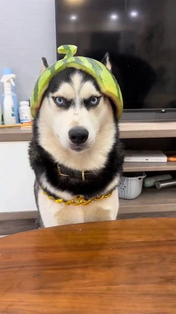 Теперь идеально

Подписывайся 👉