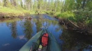 НА БАЙДАРКЕ ПО РЕКЕ. ЛЕСНАЯ РЕКА ДАРИТ ТРОФЕИ. ТАЁЖНЫЙ СПЛАВ.