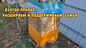 пчеловодство, весна, взяток пропал, расширяем и поддерживаем семьи