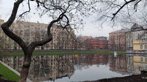 По весеннему Арбату под ☔✨👍