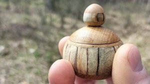 Шкатулка в апрельском лесу на старом пне с первоцветами