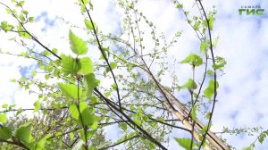 Новый сквер появится в Самаре в скором времени