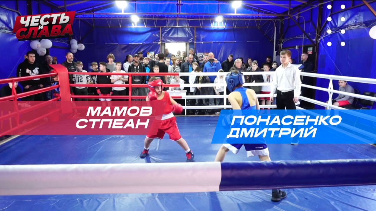 Бой 29, Понасенко Дмитрий - Мамов Степан