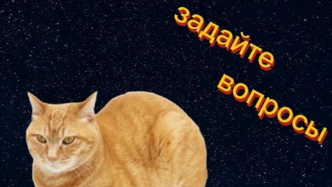 задайте вопросы