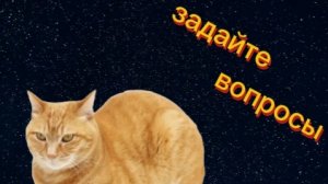 задайте вопросы