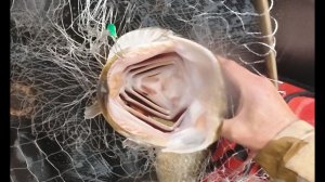 DaVinci Resolve.Применение LUT,где их найти и как добавить в редактор.