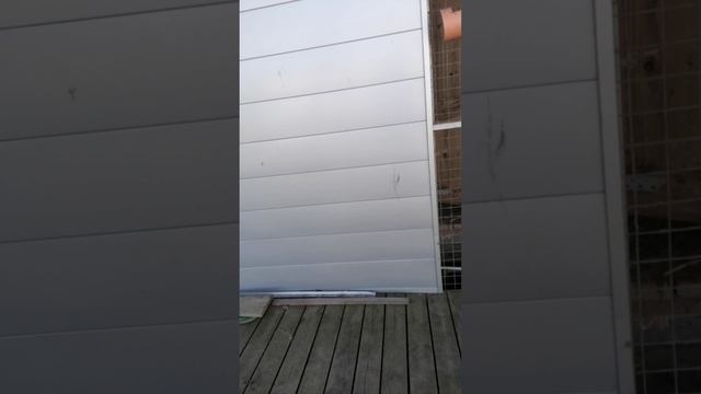 Прогулка по огороду болталки