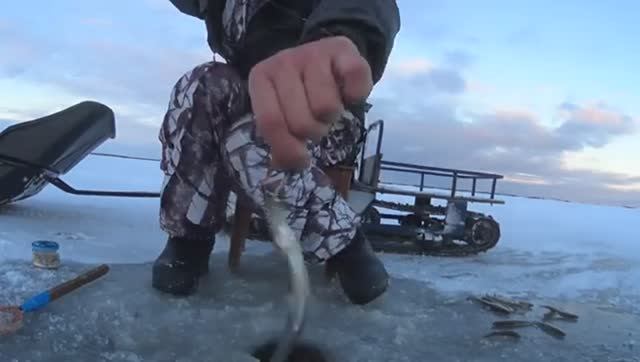 ВОТ ЭТО КЛЁВ!СТОЛЬКО МНОГО КОРЮШКИ Я ДАВНЕНЬКО НЕ ЛОВИЛ!