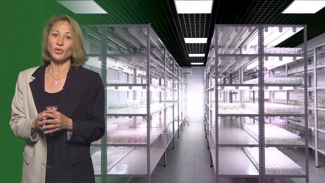 Институт перспективных исследований