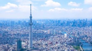 KidsBox_Level2_Unit8_CLIL_video