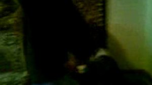 Алена 18.03.2009г.