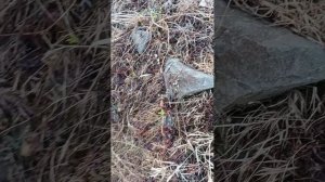 игра в кальмара 4 сезон 1 серия