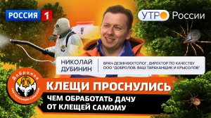 Клещи проснулись. Чем обработать и как защитить дачу от клещей самостоятельно