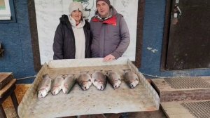 улов форели 15 кг