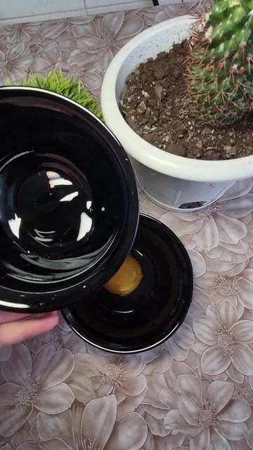 Бешенный рост волос