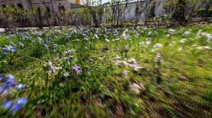 Сад Тверского императорского дворца вновь открыт для посетителей