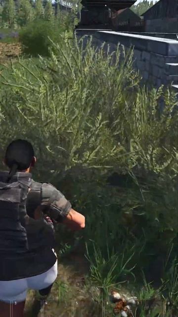 Аутист повар в SCUM  Пхаха #scum #shorts #shorts