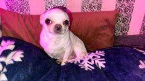 Всем наидобрейшего утречка и чудесного воскресенья!