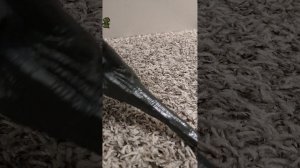 мегалодон против всех. часть первая.