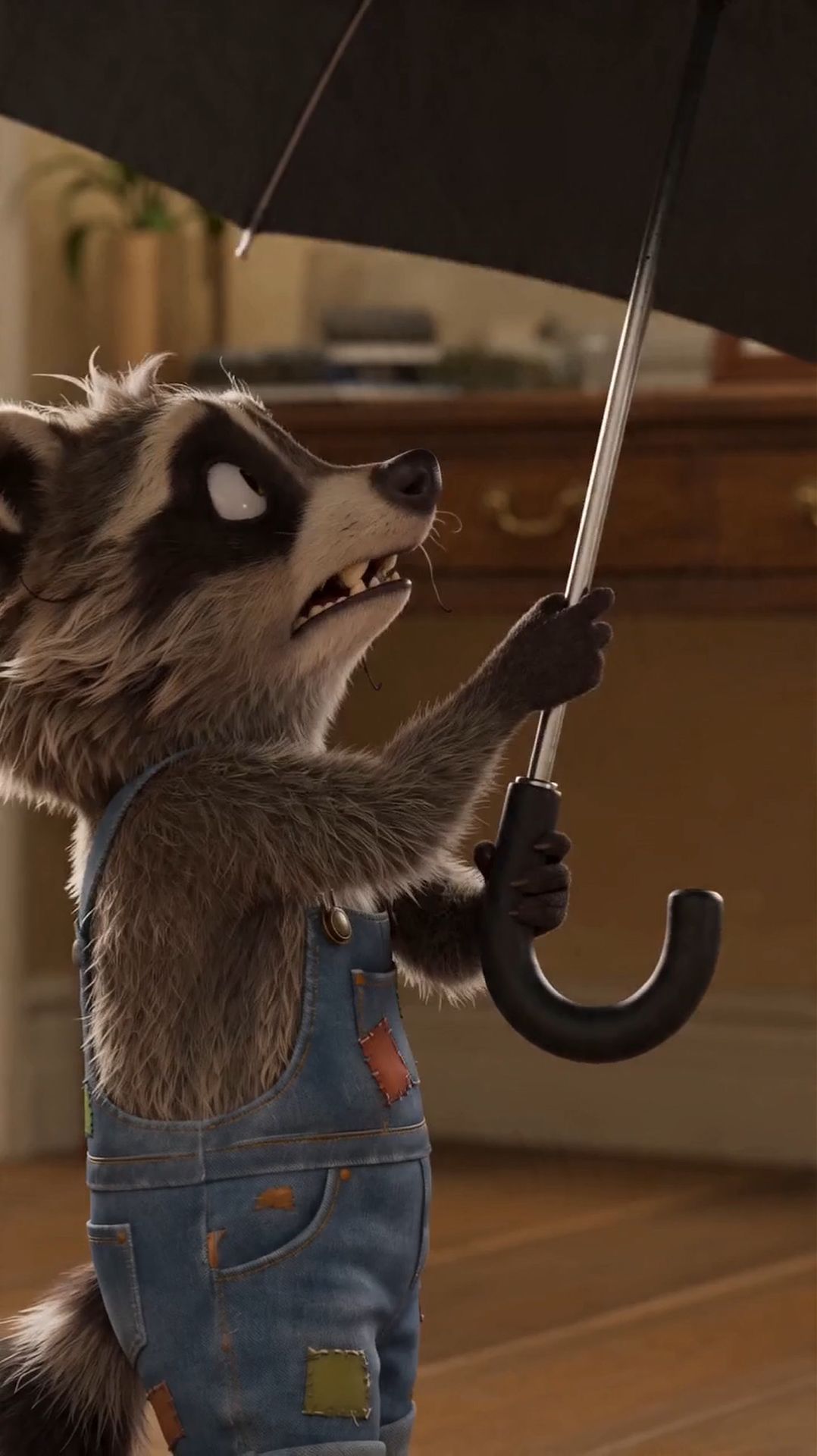 Енот и зонтик!