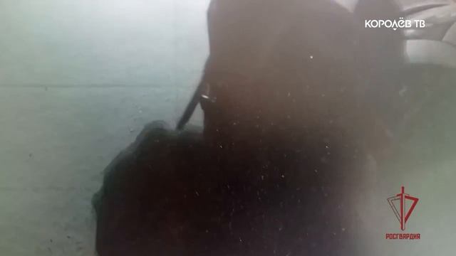 Росгвардейцы задержали дебошира в Подмосковье