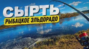 Рыбалка на сырть в Ленинградской области: Невероятный клев на каждом забросе!