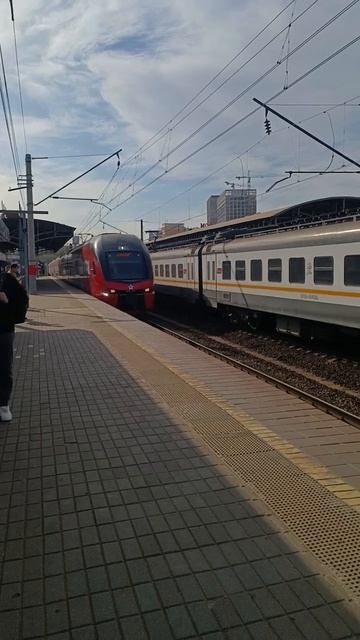 Еду в первую в жизни командировку в Ухту через Шереметьево. 26 сентября 2024