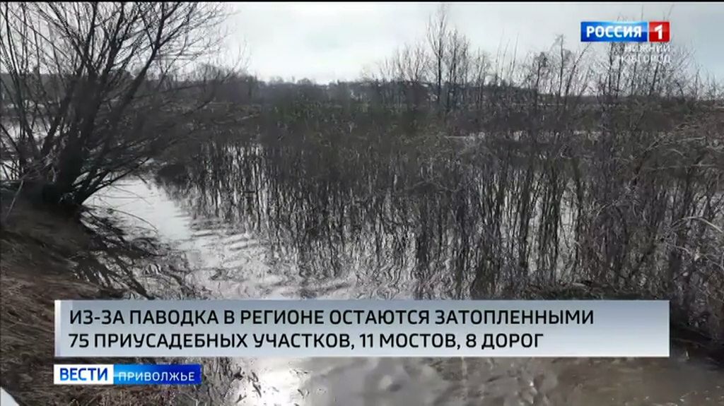 Десятки приусадебных участков все еще остаются подтопленными в регионе