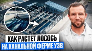 Как ВЫРАЩИВАЮТ Редчайшую ФОРЕЛЬ В РОССИИ? Канальная ферма УЗВ по ВЫРАЩИВАНИЮ КУМЖИ