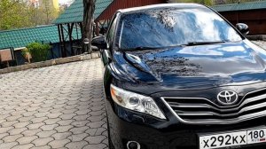 petal_20260422_121844.mp4