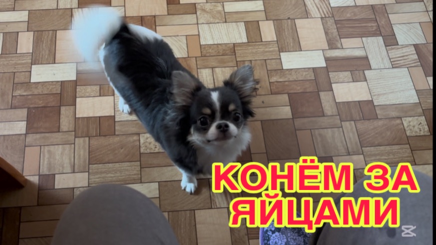 214 26  СЪЕЗДИЛИ НА КЛАДБИЩЕ. КЛУБНИКА ПО 950 . ЖЕЛЕ ИЗ СМОРОДИНЫ.ЗИМА ВЕРНУЛАСЬ.