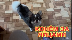 21/4 26  СЪЕЗДИЛИ НА КЛАДБИЩЕ. КЛУБНИКА ПО 950 ₽. ЖЕЛЕ ИЗ СМОРОДИНЫ.,ЗИМА ВЕРНУЛАСЬ.