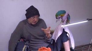 Бхарати Махарадж - Шримад Бхагаватам 6.2