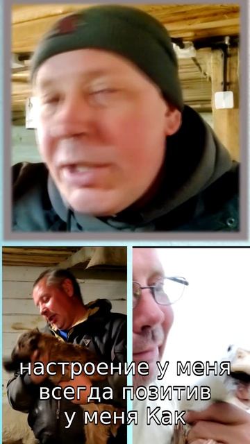 У меня не КОНЬЯК пахнет КЛОПАМИ, а клопы пахнут коньяком! #юмор #дорогавновуюжизнь