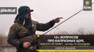 10+ вопросов про капризных щук, или Кто-то теряет… но мы-то находим! А. Ивашков. Anglers Practical