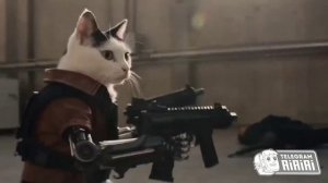 КОТЫ В КИНО О КУНГ-ФУ нейросеть