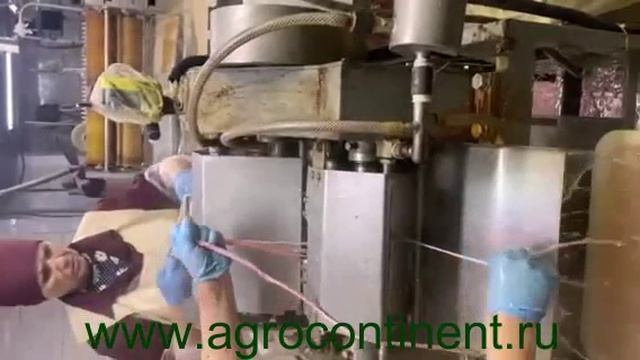 ФОК очистит кишки свиней и КРС