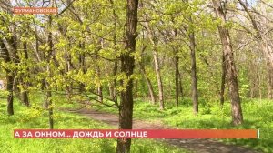 А за окном. 22 апреля 2026