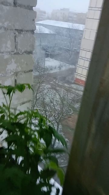 у нас выпал снег в апреле.