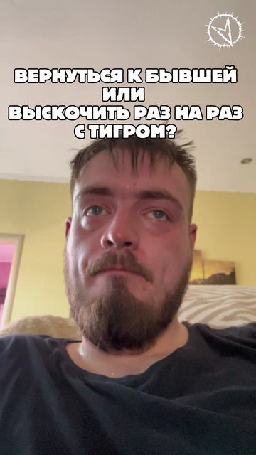 Вернуться к бывшей или… #бывшая #тигр #сильно #курсор #баня