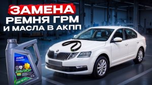 Замена ГРМ и масла в коробке AISIN на Skoda Octavia A7 1.6 (110 л.с.)