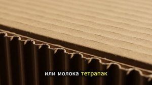 Картон. Черви и рыхлая почва, мульча от сорняков и фитофторы! (Видео ютубканала Зелёная Кладовая)