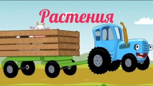 Синий трактор. Развивающие мультики для детей. Растения