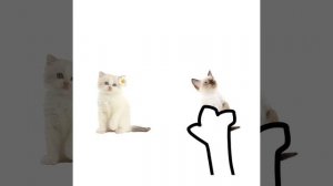 АХАХАХАХХАХАХ, УДАЛИТЕ У МЕНЕ КАПКУТ И ЗАБЕРИТЕ ТЕЛЕФОН ПХХАХПХПХ